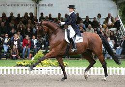 Platz 1 für Isabell Werth auf Apache OLD