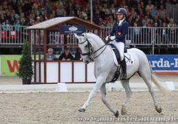 Turnier der Sieger 2017 - Münsterländer Pferdestärken Cup