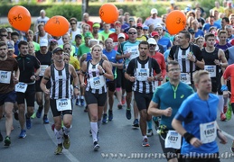 16. Volksbank Münster Marathon 2017