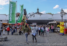 Turnier der Sieger 2018