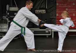 Grundübungen des Taekwondo