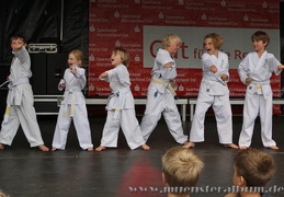 Taekwondo-Nachwuchs des TuS Hiltrup.