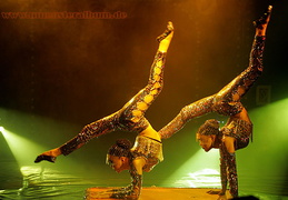 Hiltruper Weihnachtscircus 2005