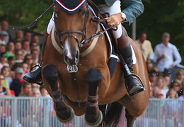 Jonathan Asselin (CAN) auf Rayanna Chiara