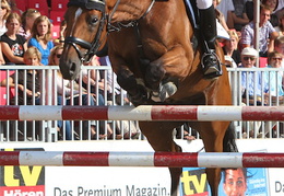 Alexander Hufenstuhl auf Lacapo