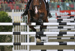 Toni Haßmann gewinnt mit 0 Fehlern im dritten Stechen bei einer Endhöhe von 1,95m.