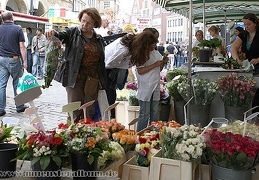 Frische Blumen zum Fest.