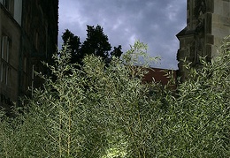 Unsettling the Fragments an der Lambertikirche