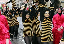 Die Bienen aus Losser (NL).