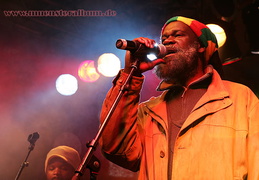 Int. Reggae Artists 