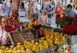 Enten angeln