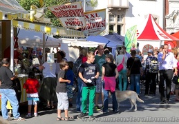 Impressionen