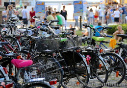 Sommer Fieber 2014
