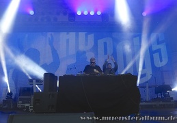 The Disco Boys