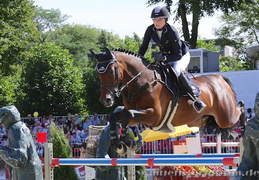 Turnier der Sieger 2015