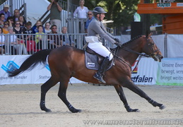 Turnier der Sieger 2015
