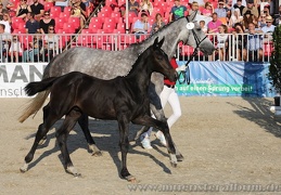 Turnier der Sieger 2015