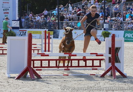 Turnier der Sieger 2015