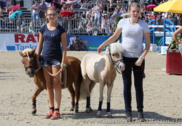 Turnier der Sieger 2015