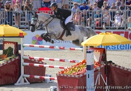 Turnier der Sieger 2015