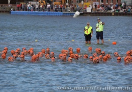 Sparda-Münster City Triathlon 2017