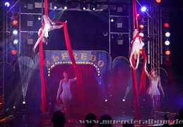 Hiltruper Weihnachtscircus 2018 - White Stars