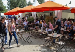 Turnier der Sieger 2019
