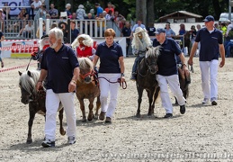 Turnier der Sieger 2019